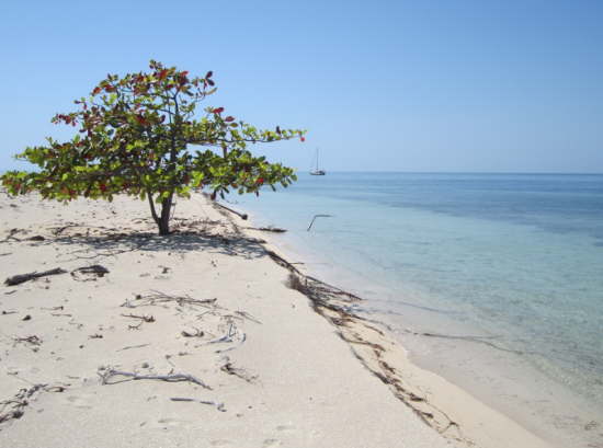 22.Vor Cayo Anclitas - Inselwanderung