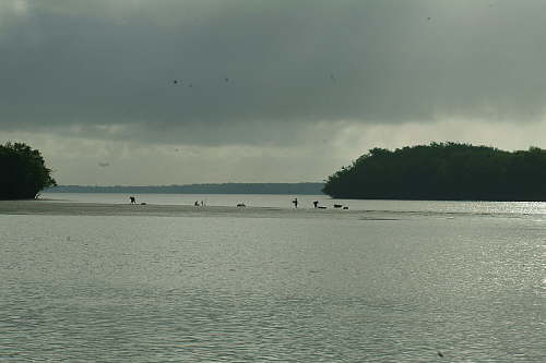 23.07. Muschelsammler