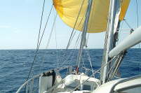 23.09. Nur 1 Stunde ...