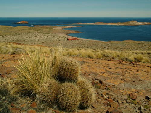 23.10. Blick �ber Caleta Leones