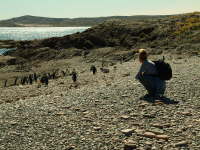 23.10. Unauffllig unters Volk mischen