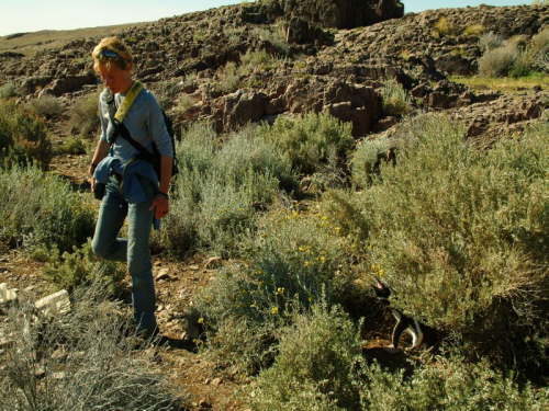 23.10. Aufpassen, wo man hintritt