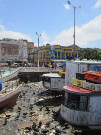 24.10.Ein Fest f�r Urubus (Aasgeier)