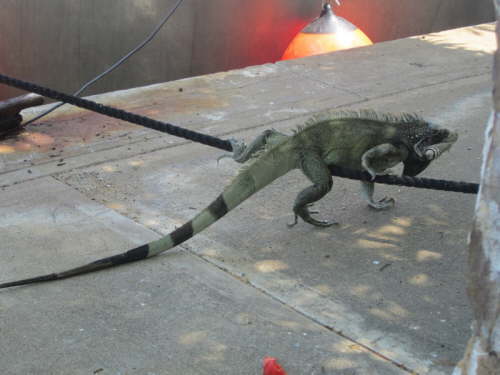 24.10.Die Wege werden auch immer schlechter!