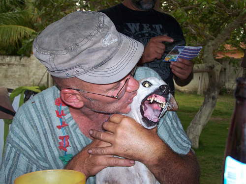 24.07. Hundeknuddeln