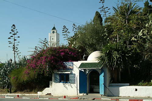 24.11. Immer noch Sidi Bou Said