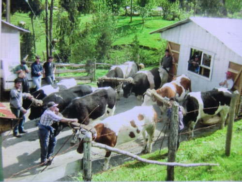 24.5.Das gibt es nur auf Chilo�