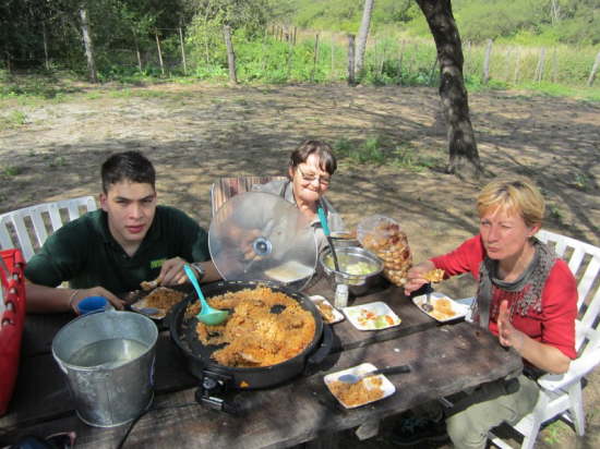 24.7.Frieda bekocht uns selbst auf offenem Feld