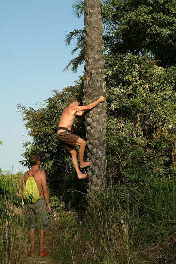 25.01. Warum gleich in die Luft gehen?