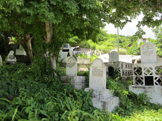 25.6.Familienfriedhof