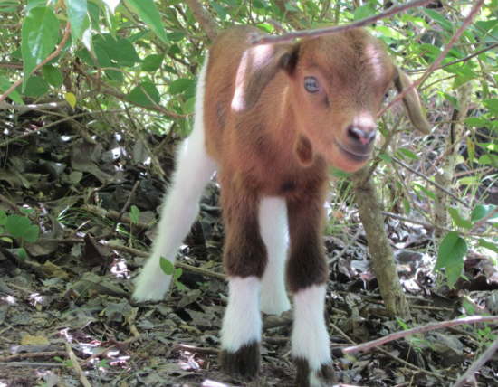 25.6.M�����������h!