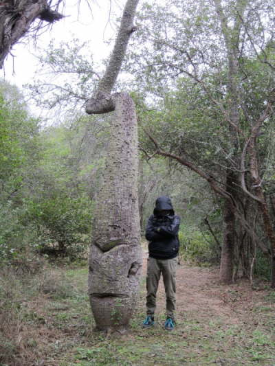 25.7.Die M�cken fressen uns auf