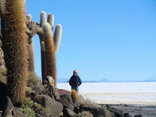 25.7.Isla del Pescado