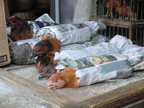 27.10. Gleich zum Mitnehmen