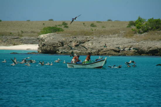 27.9.Die Fischer werden regelrecht belagert