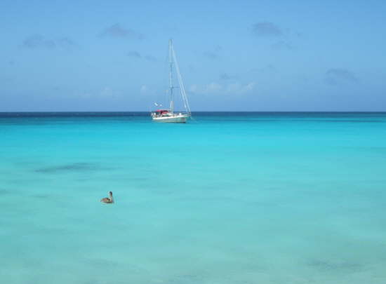 28.Mit Pelikan vor Isla Curricai