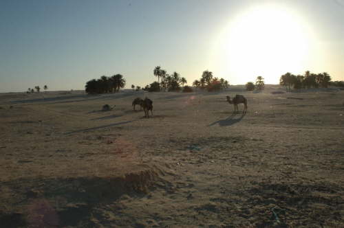 28.01. Wir haben noch Zeit.
