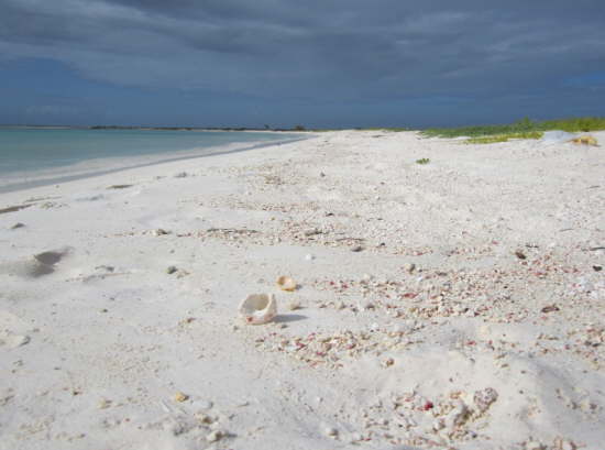 29.12.Auf Isla La Tortuga