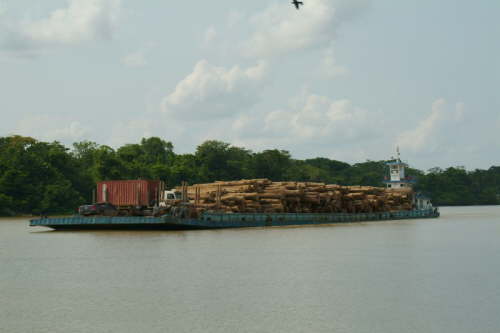 29.11.Da geht er hin, der Regenwald