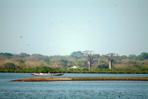 29.01. Auf dem Gambia-River