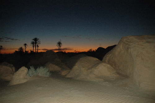 29.01. Grauenhaft fr�h ...