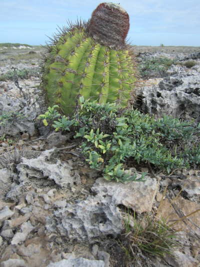 29.12.Bisschen wie auf�m Mond hier