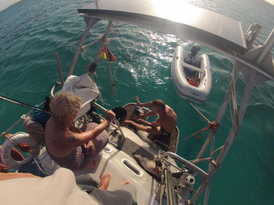 29.Vorf�hrung:Wie nehm ich Fisch und Langusten aus