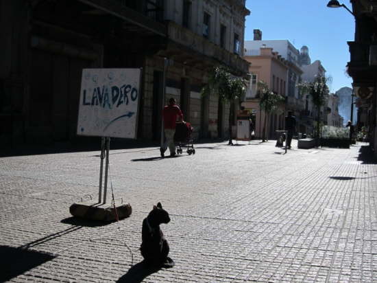 29.5.Katzenw�sche?