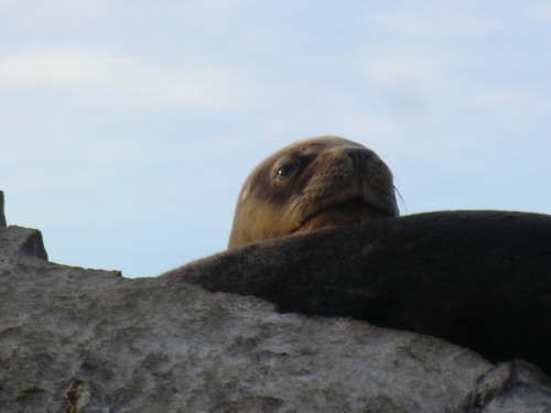 2.5.Schon wieder Touris!