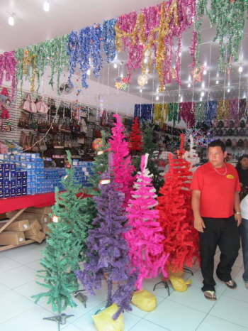 30.10.Oh Tannenbaum ...