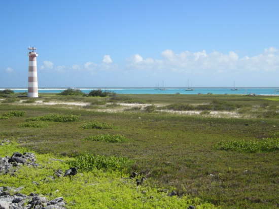 31.12.Ringelsockenleuchtturm