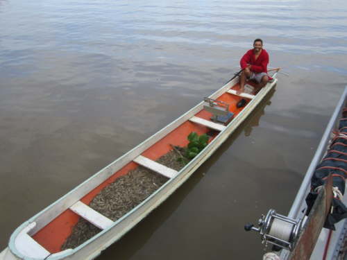 4.12.Camar�o-H�ndler