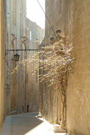 07.05. In der Festung