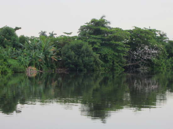 7.Linke Flusseite - Natur pur