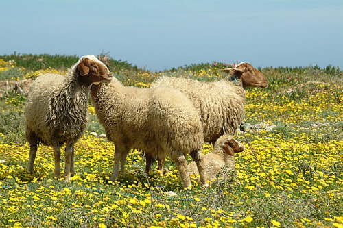 08.04. Radtour nach Salakta