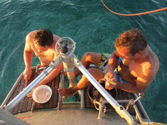 9.Urlauberbesch�ftigung