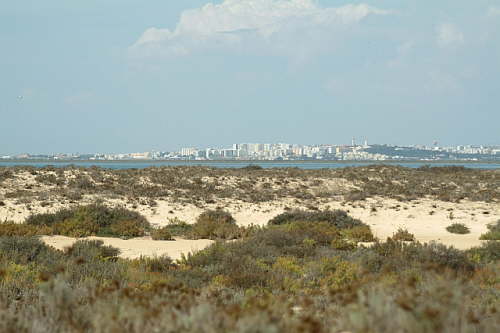 23.09. In Sichtweite - Faro