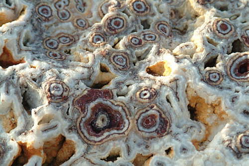 27.10. ... darf ich nicht mitnehmen ...