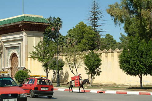 04.10. Coca-Cola-Esel