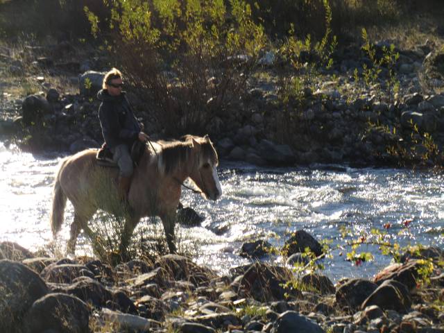 fr einen echten Cowboy ist kein Wasser zu tief